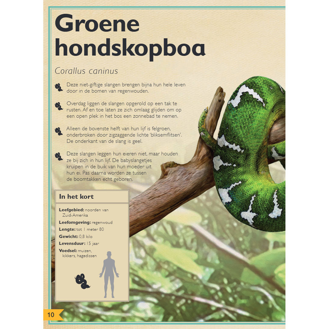 Aller mooiste boek over reptielen en amfibieën