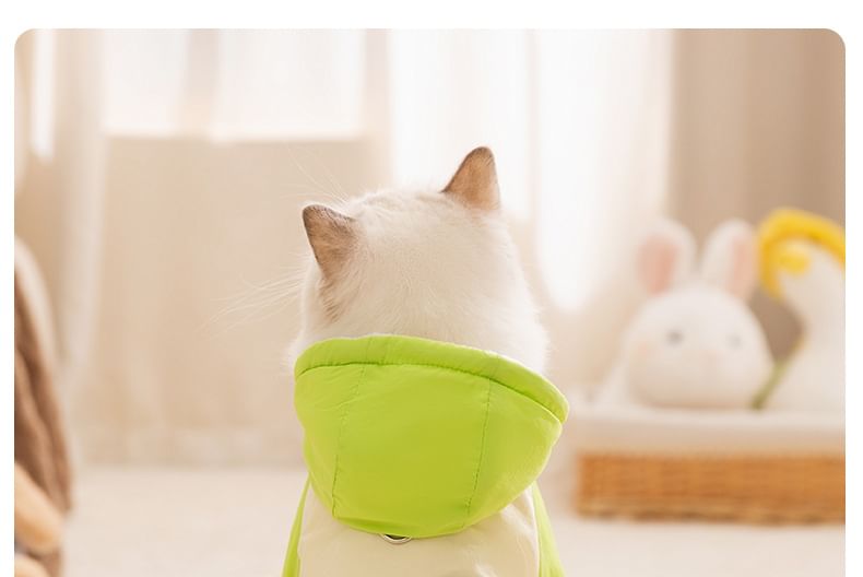Cissilli - Letterapplicatie Pet Overall met capuchon