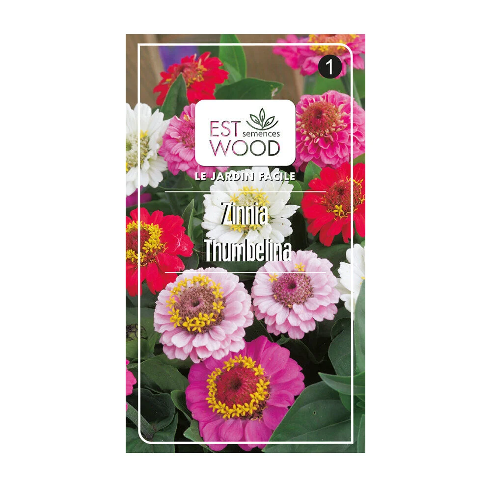 Semence zinnia elegans thumbel