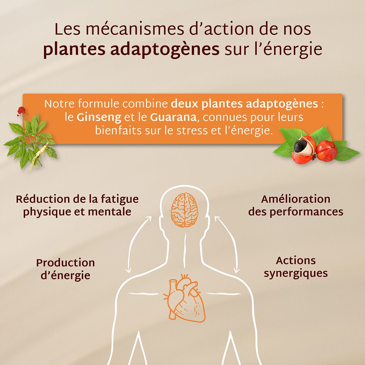 Cure gummies énergie - Ananas - Sans sucres - 3 mois
