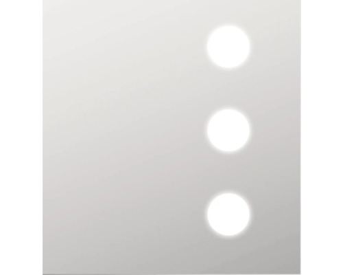 LED badkamerspiegel Zilver Hollywood 80x60 cm