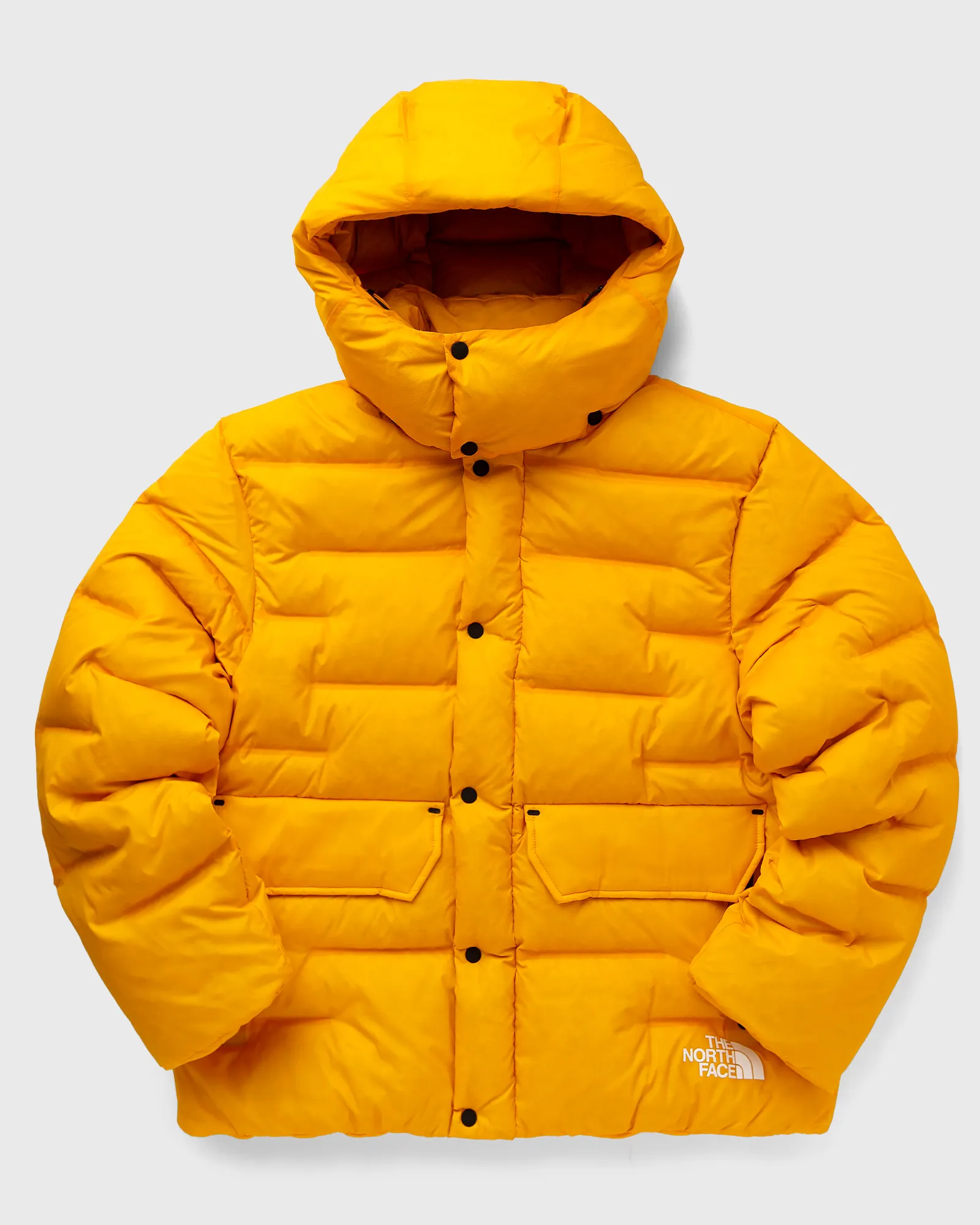 The North Face Rmst Sierra Parka
