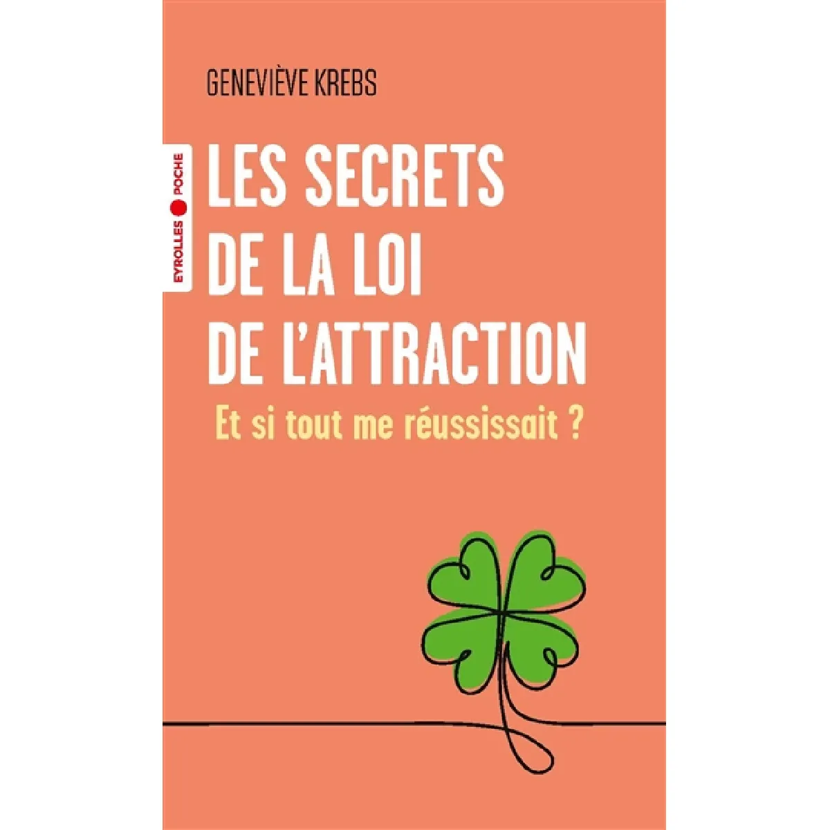 Les secrets de la loi de l'attraction : et si tout me réussissait ? · Occasion