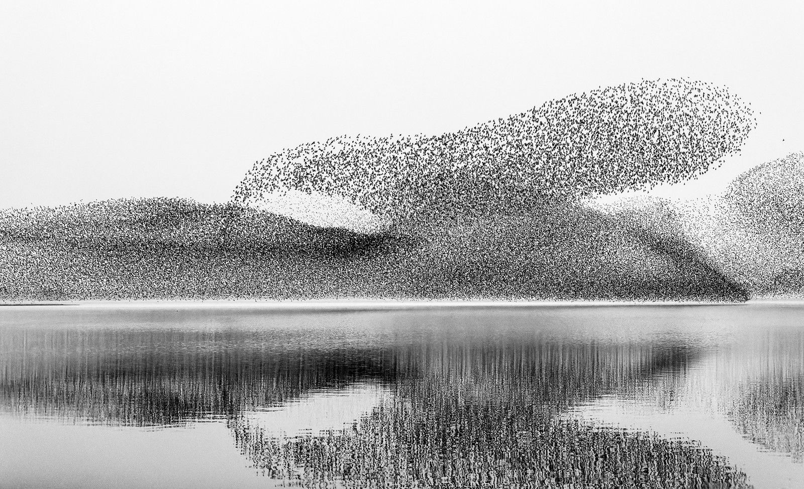 The Big Display, Lough Ennell, Ireland by James Crombie - Limited Edition. Edition of: 150. Signed.