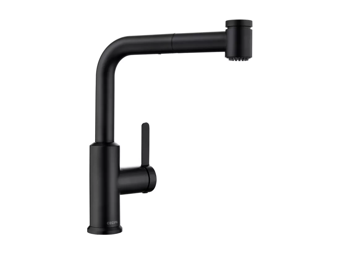Cecipa max Mitigeur de Cuisine Extractible - Robinet Cuisine à 2 Jets 360 Rotatif - Mitigeur Evier avec Douchette Noir,EU Modèle