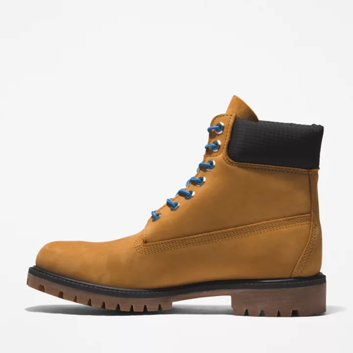 Bota Timberland Premium de 6 polegadas para homem, em amarelo/azul.