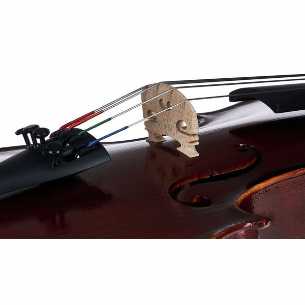 Gewa Allegro VA1 Viola Set 12