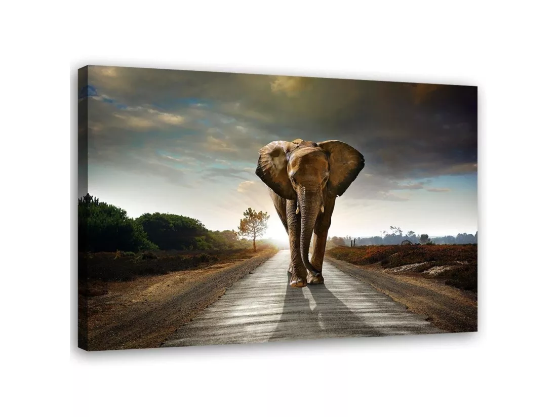 Tableau éléphant sur la route - 90 x 60 cm