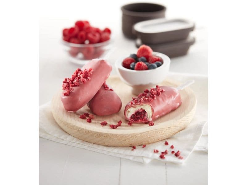 Lékué Glaceform Silikon, 4er Set Set zur Herstellung von hausgemachtem Eis