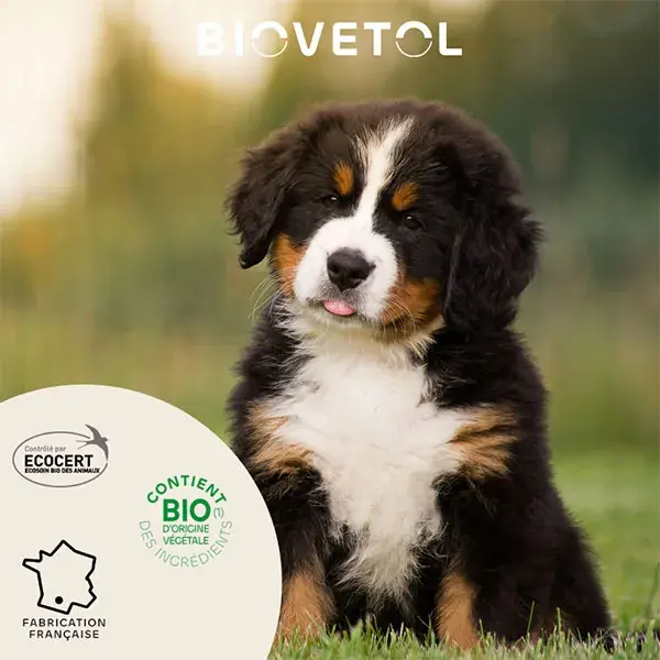 Biovetol - Antiparasitário - Pipeta individual orgânica para filhotes/cães de pequeno porte - 1,5 ml