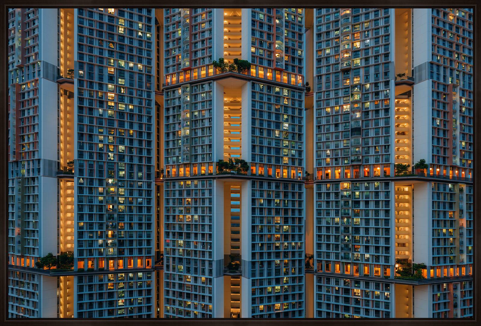 Cells Interlinked by Peter Stewart - Limited Edition. Edition of: 100. Signed.