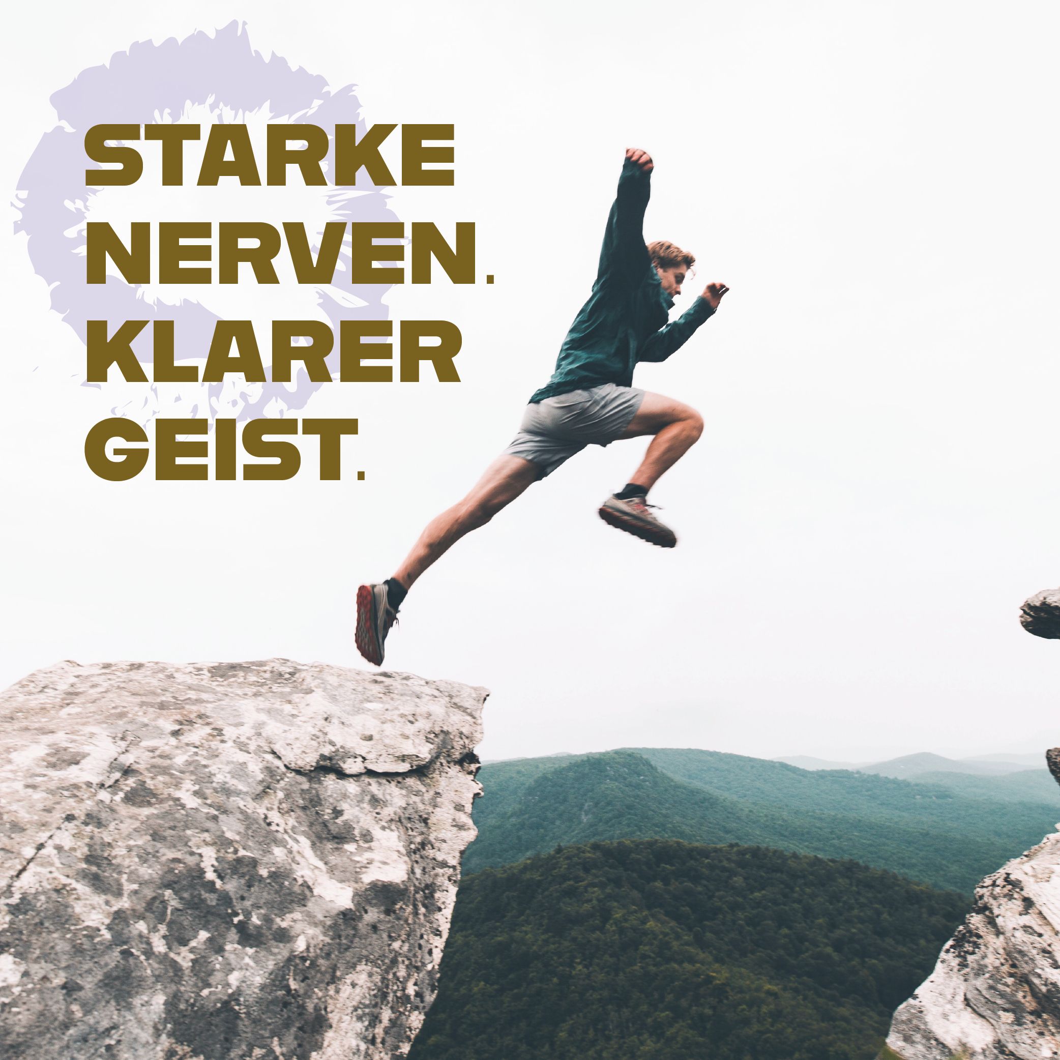 Nutori - NERVEN KRAFT - Vitamin B Komplex