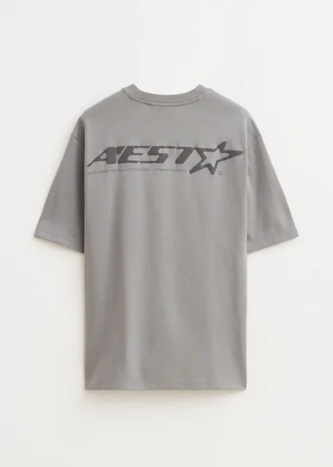 T-shirt met print star grijs (GRS.M)