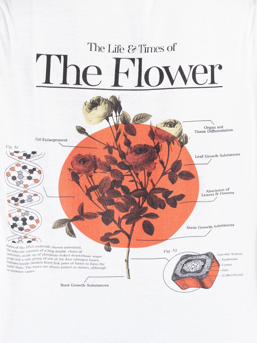 Dravus The Flower T-Shirt white
