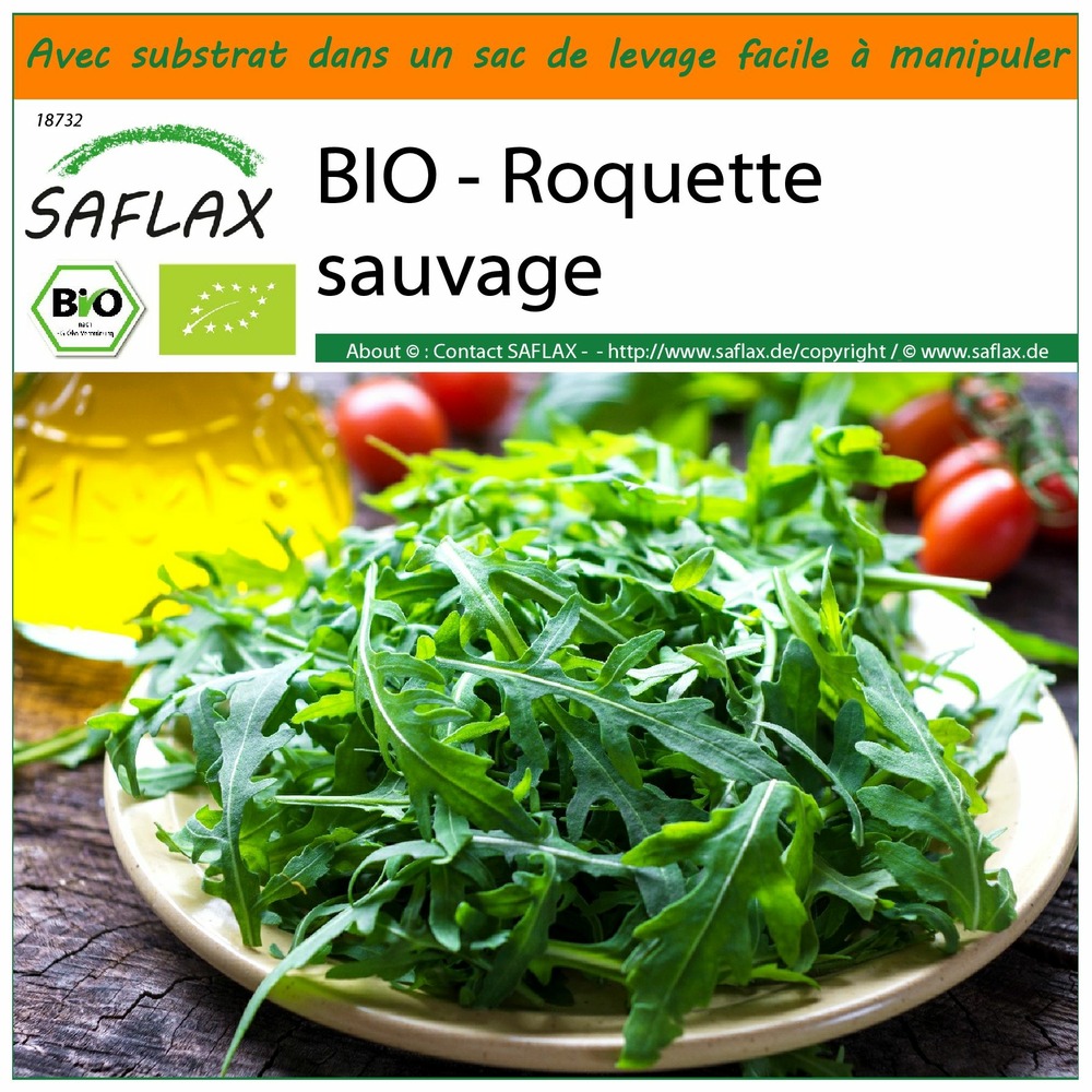 Jardin dans le sac - bio - roquette sauvage - 1500 graines - diplotaxis tenuifolia