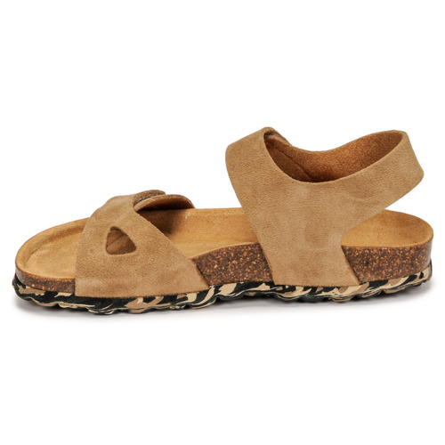 Citrouille et Compagnie - BELLI JOE - Beige