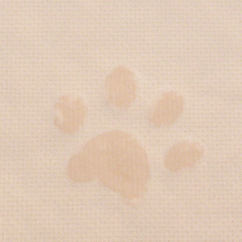 Tapis de maison de toilette Pattes