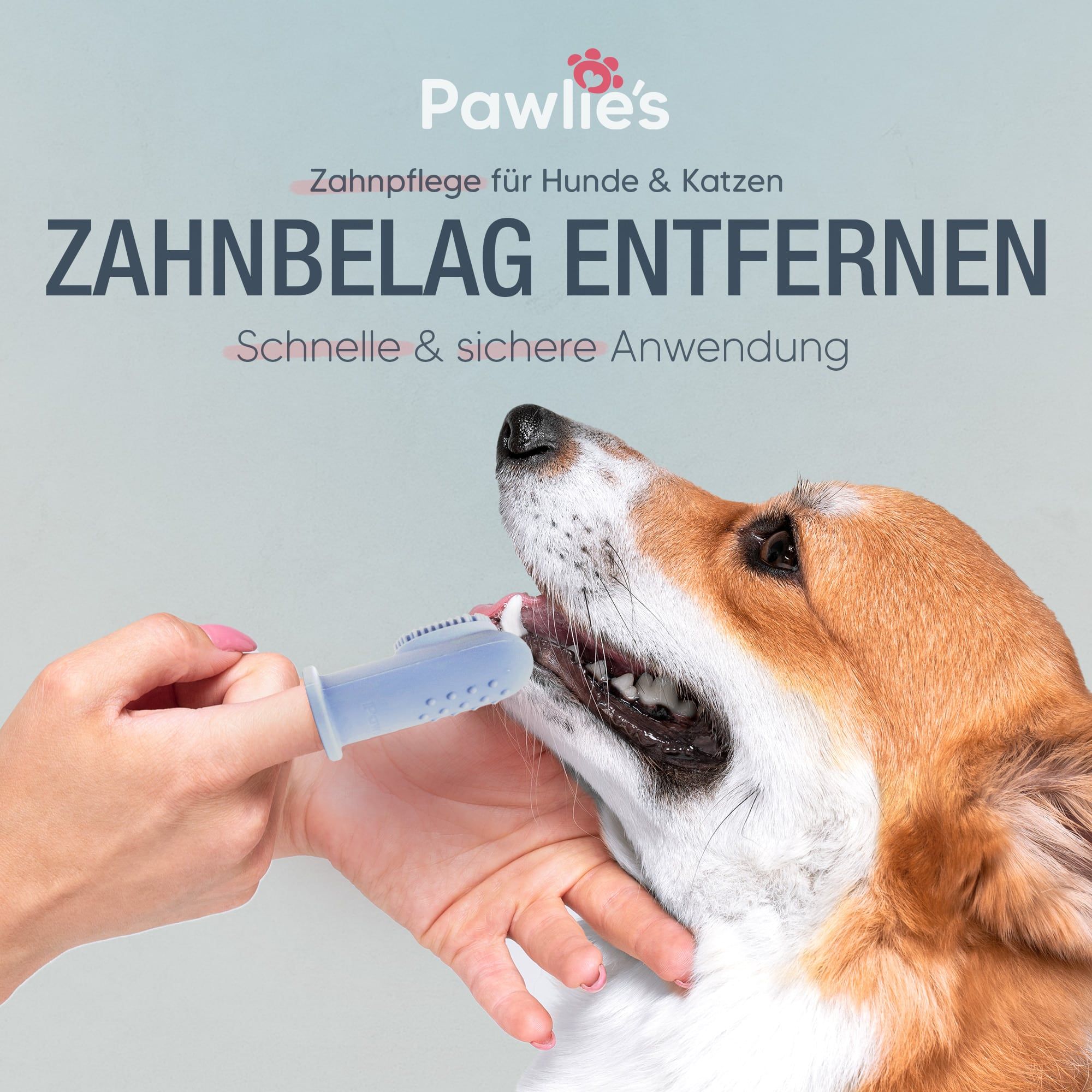 Pawlie's Zahnbürste Fingerling