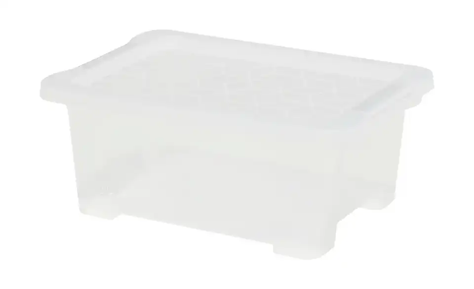 Rotho Aufbewahrungsbox 15,8 cm