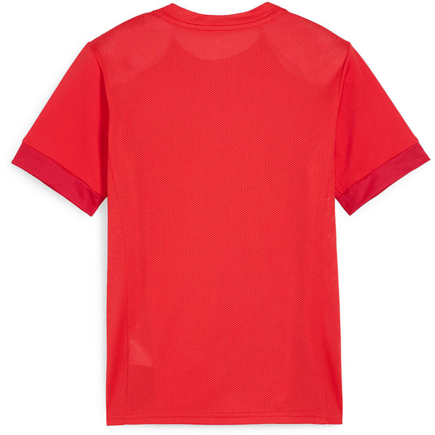 Puma GOAL Trainingsset Kids