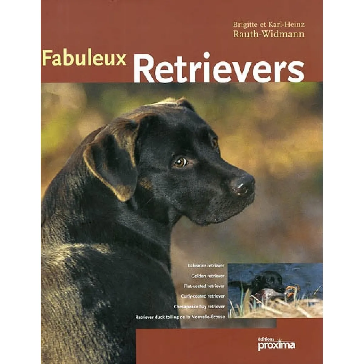 Fabuleux retrievers · Occasion