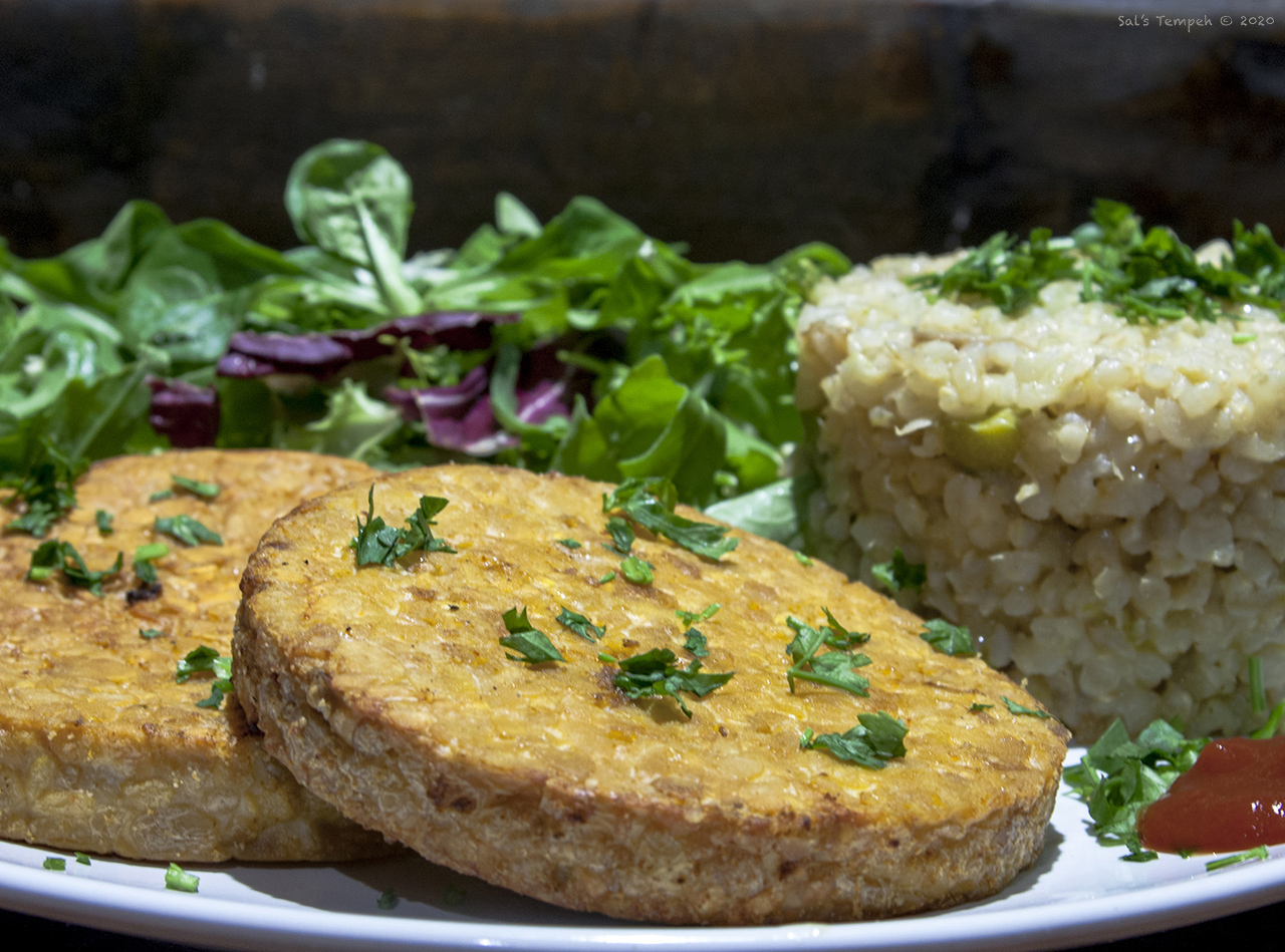 HAMBÚRGUER DE SOJA SAL`S TEMPEH NOZ ULTRACONGELADO BIO 300 G