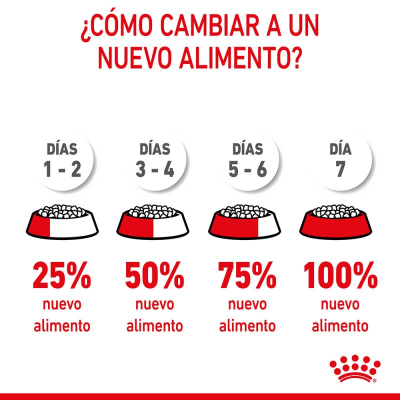 Ração para gatos Royal Canin Kitten