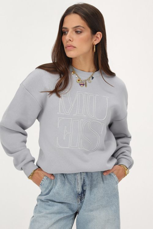 Lichtgrijze sweater 