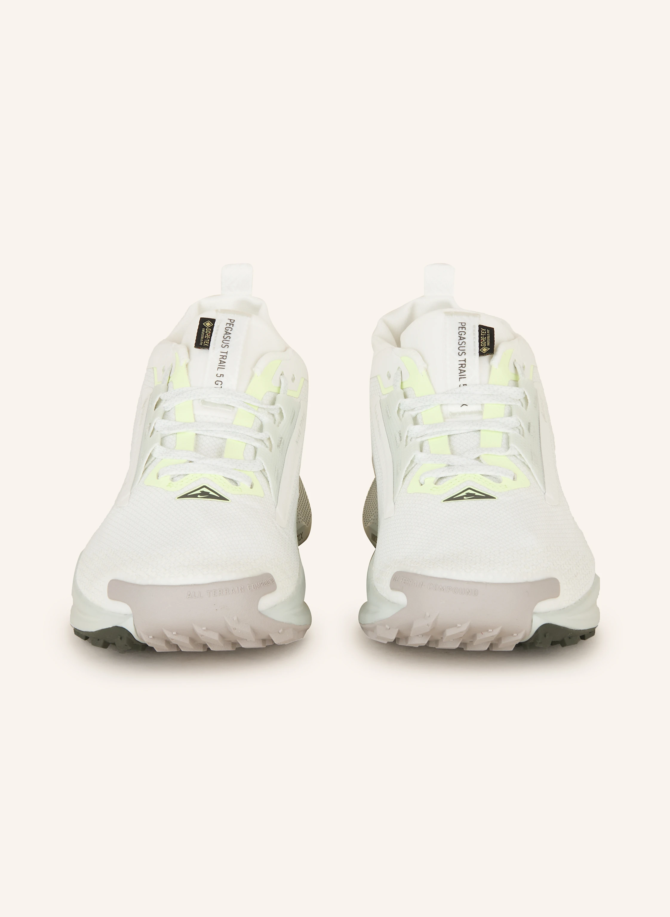 Nike Trailrunning-Schuhe PEGASUS TRAIL 5 GTX