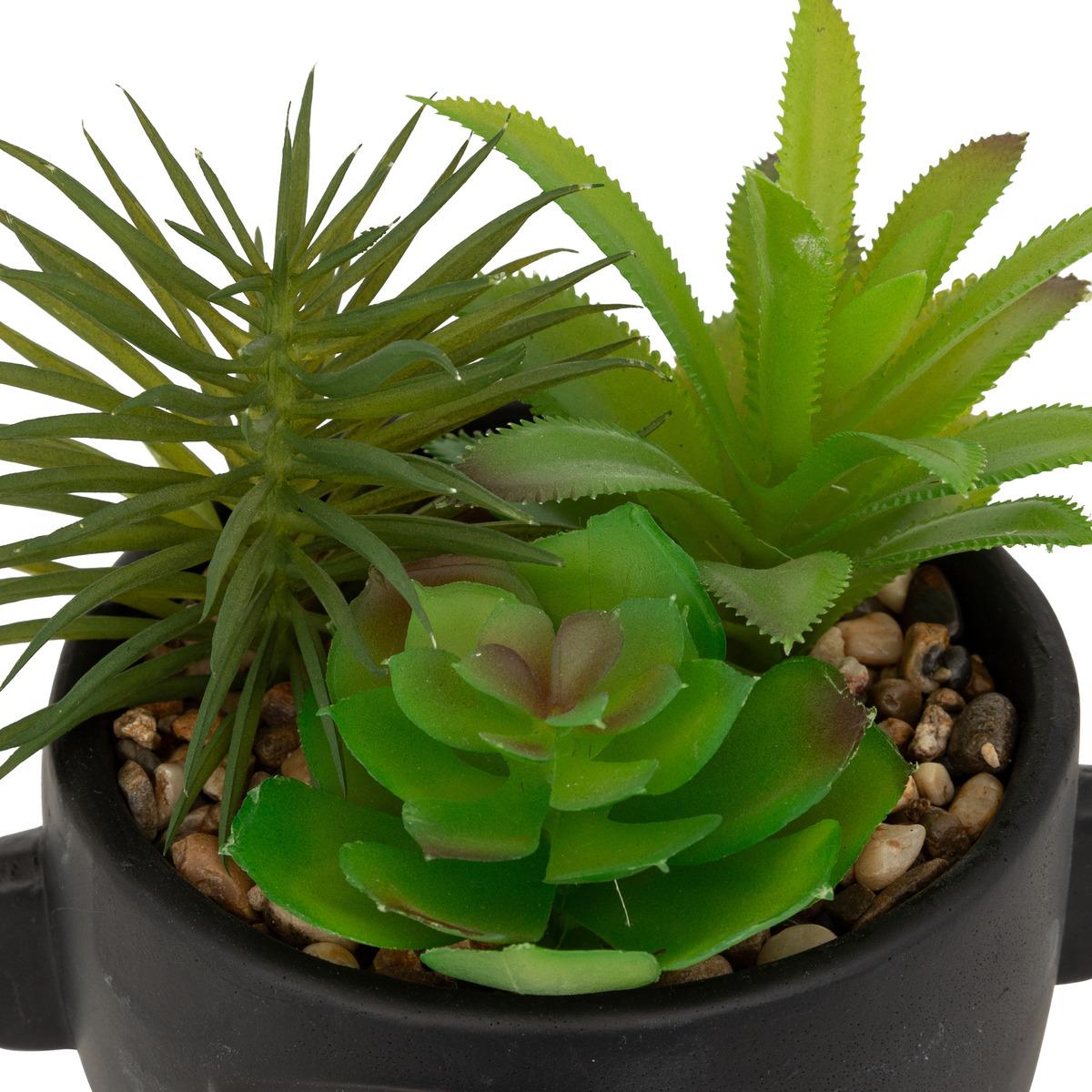 PLANTE GRASSE POT CIMENT DUSTY H.22CM