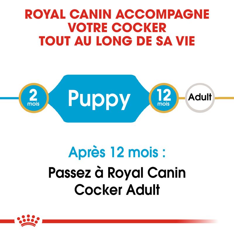 Royal Canin Cocker Puppy
