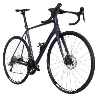 Vélo de Route Massi Team Race Shimano Tiagra 10V 700mm Violet 2023 - Produit Reconditionné
