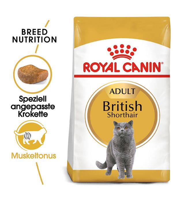ROYAL CANIN® Trockenfutter für Katzen