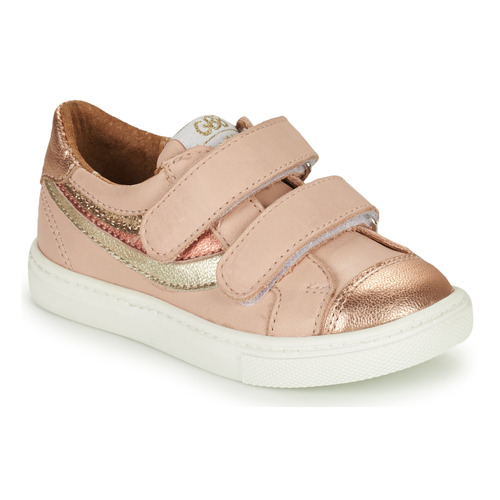 GBB - CARLOTA - Rose