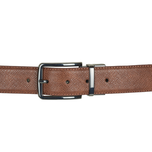 Aldo - PILOSELLUS - Marron