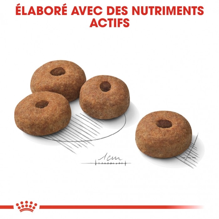 Royal Canin Maxi Sterilised - Croquettes pour chien