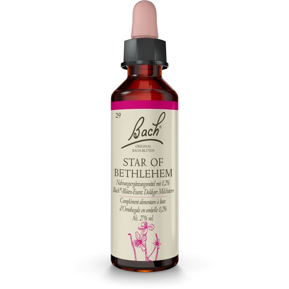 BACH®-BLÜTE STAR OF BETHLEHEM (Doldiger Milchstern)