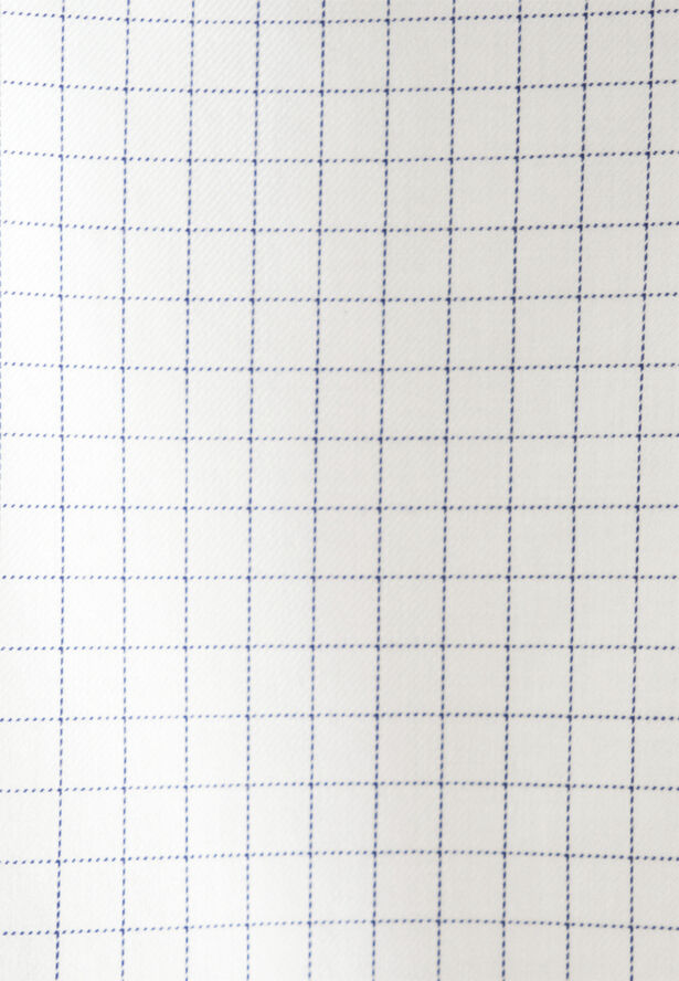 Seidensticker Business Shirt Slim Long sleeve Kent-Collar Check Blue