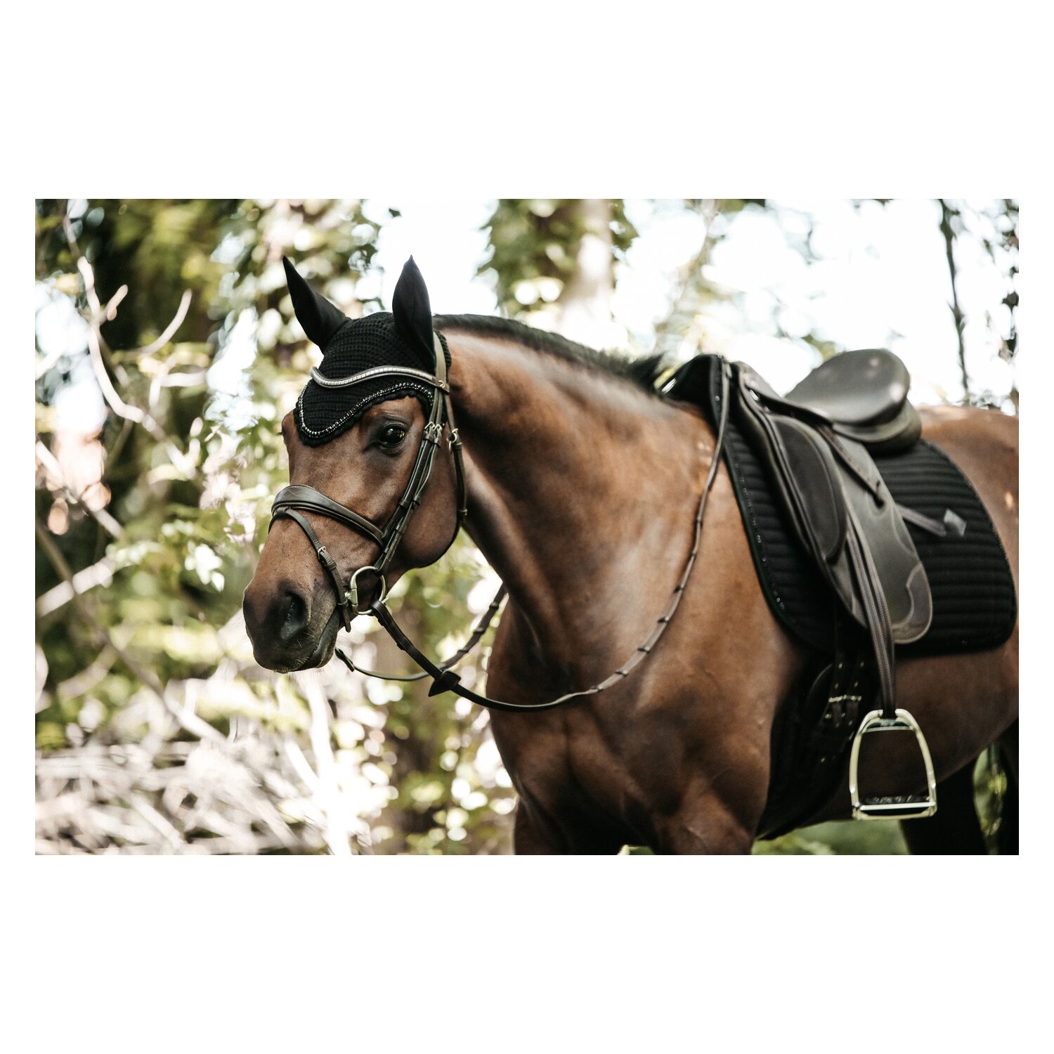 KENTUCKY Schabracke Pearls - black