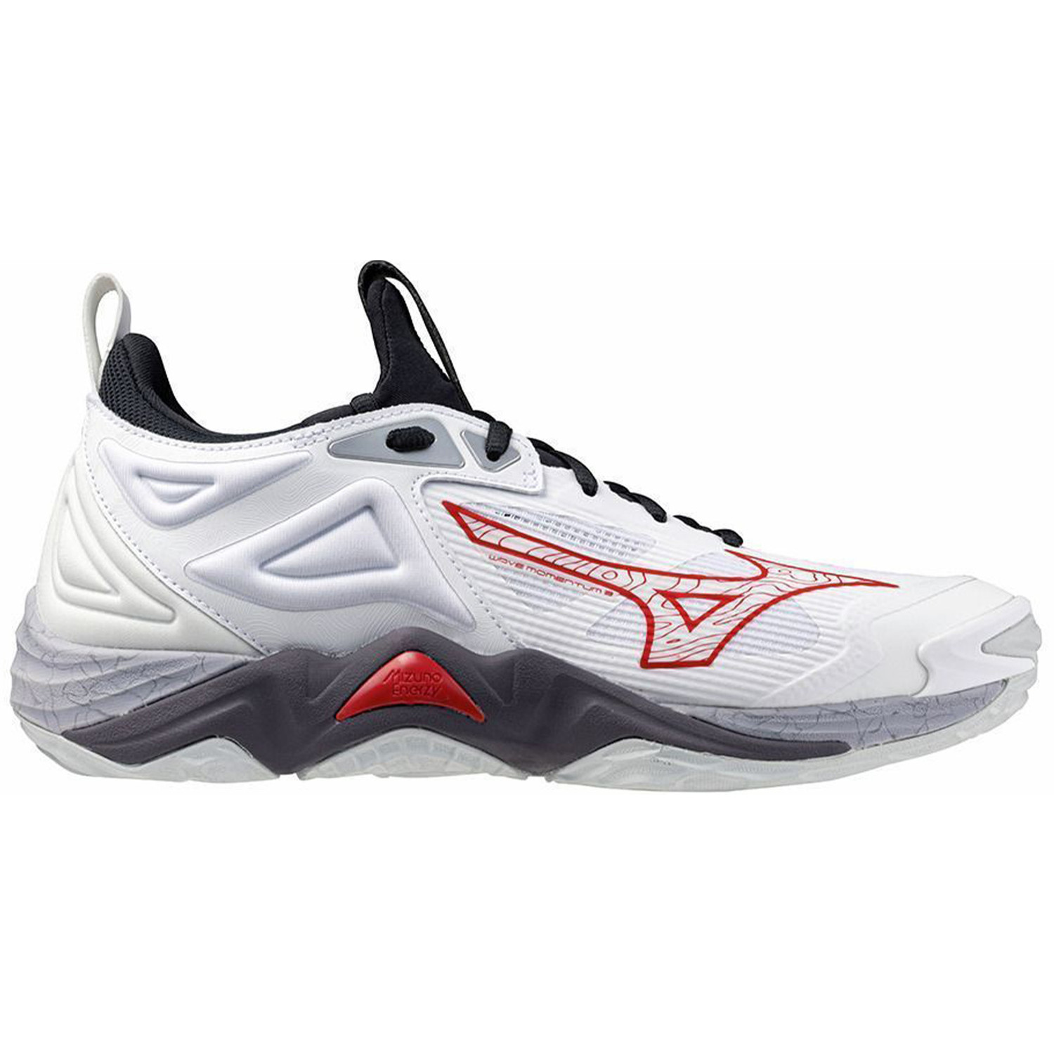 Mizuno Wave Momentum 3