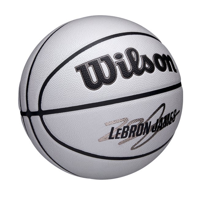NBA Player Icon UV Basketball - Lebron