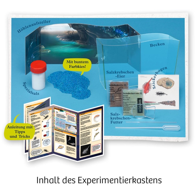 Fun Science - Wuselnde Salzkrebse