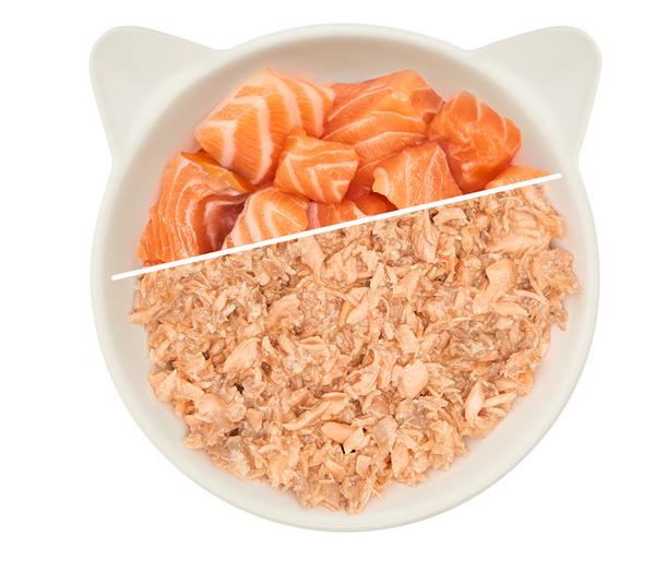 WOW® Cat Nassfutter für Katzen Premium