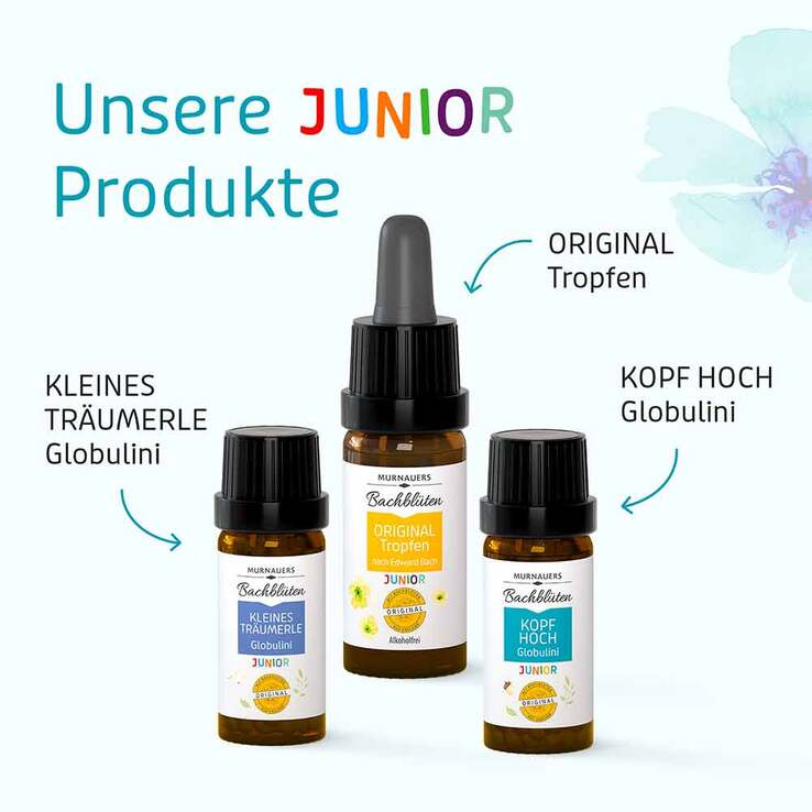 Murnauers Bachblüten Kinder Kopf hoch Globulini, 10 g