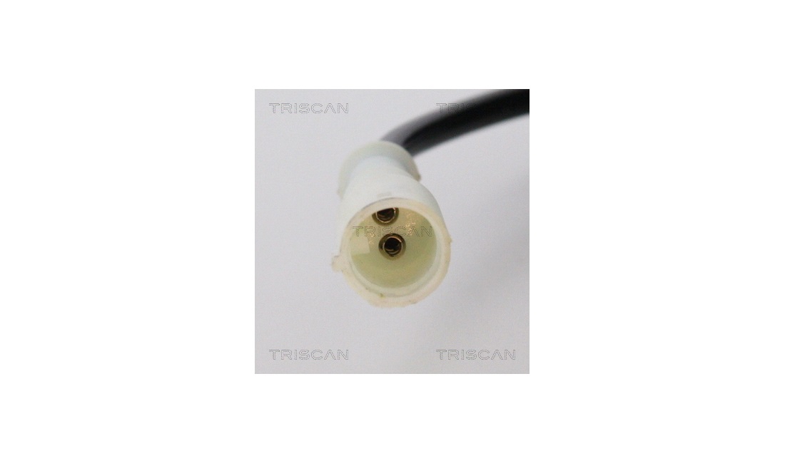 ABS sensor