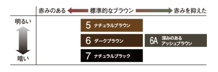 DARIYA - Salon De Pro Men's One Push Gray Hair Color
