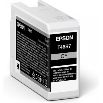 Epson UltraChrome Pro cartouche d'encre 1 pièce(s) Original Gris