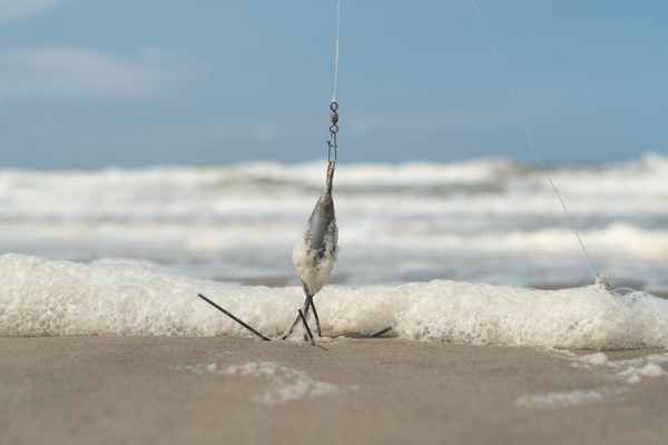 Ensemble Surfcasting BeachForce Ultimate