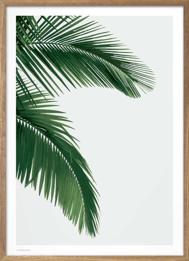Poster & Frame Wonderhagen - Palm plakat Grøn
