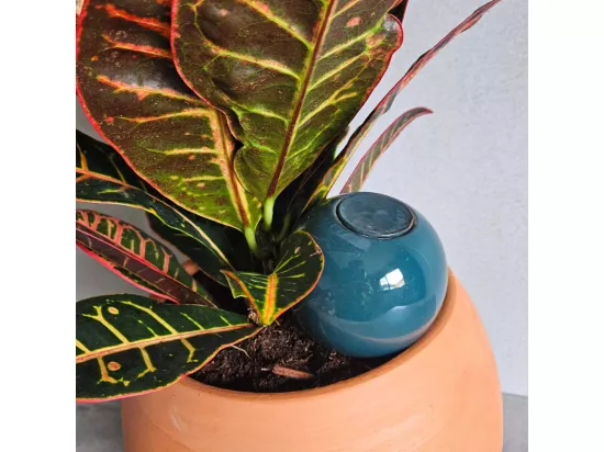 Mini ollas à planter en argile